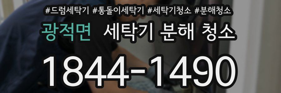 광적면 세탁기 분해 청소