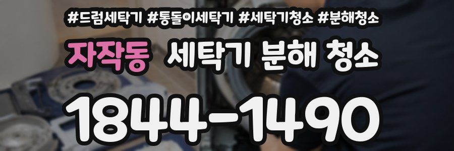 자작동 세탁기 분해 청소