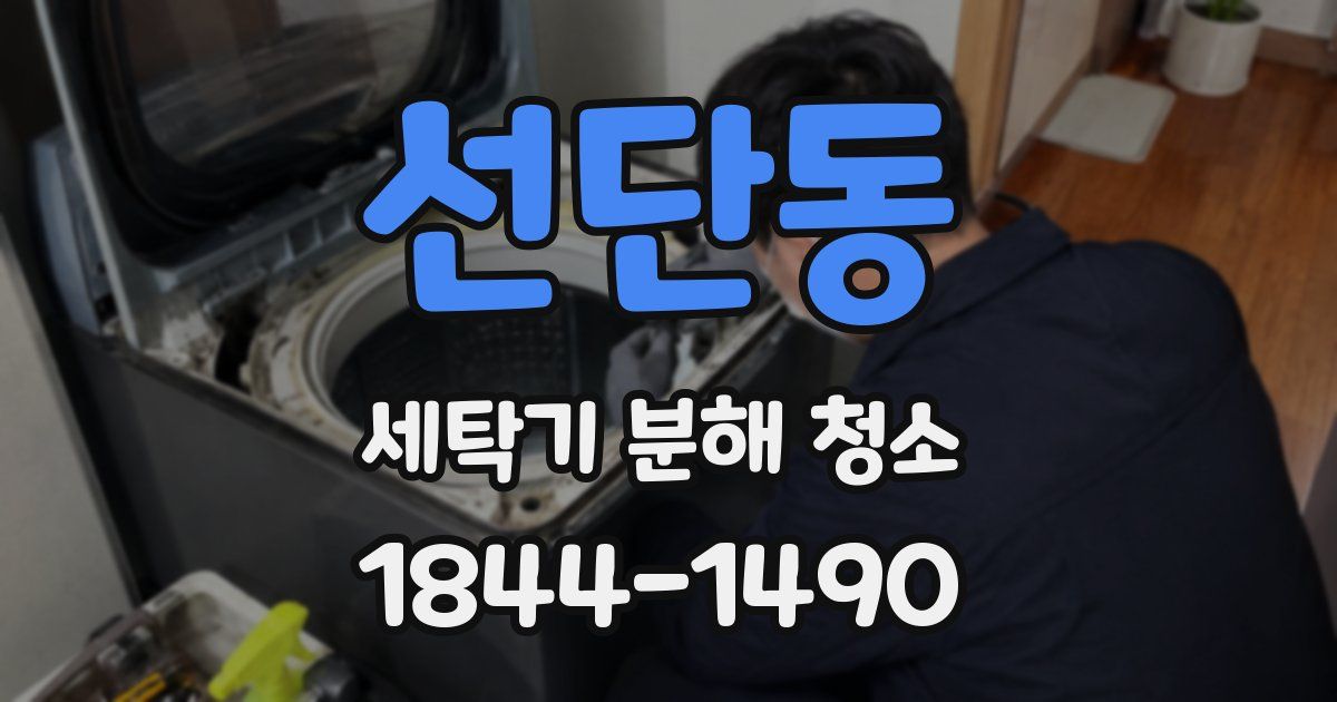 선단동 세탁기 분해 청소