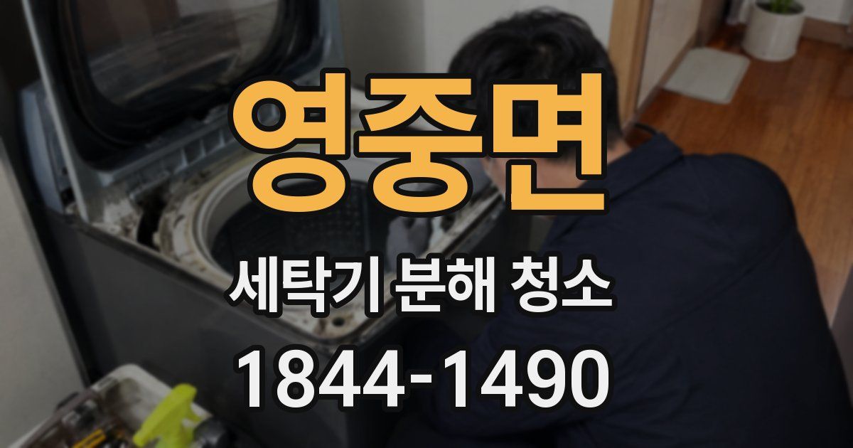 영중면 세탁기 분해 청소