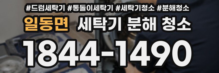 일동면 세탁기 분해 청소