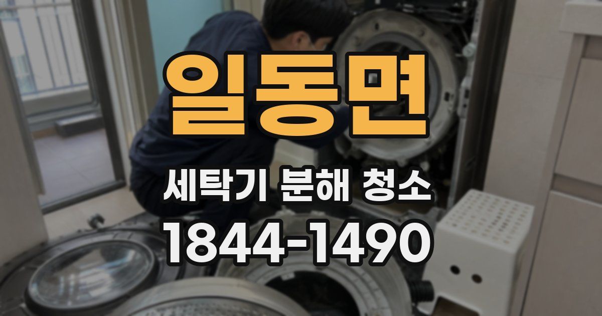 일동면 세탁기 분해 청소