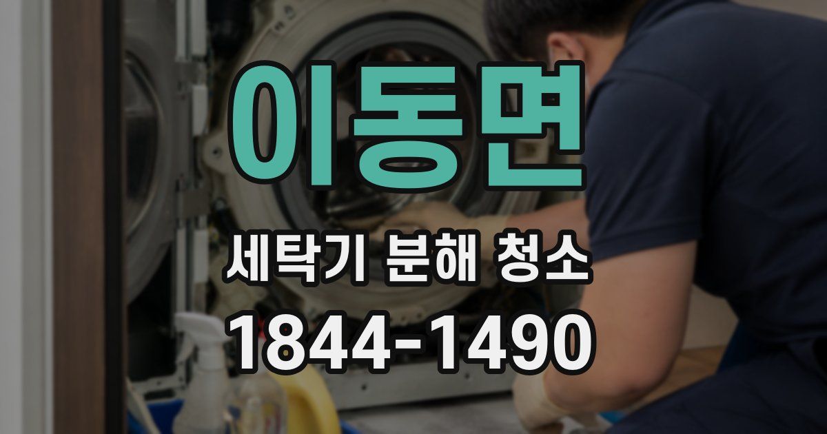 이동면 세탁기 분해 청소