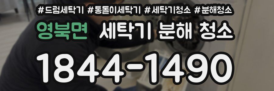 영북면 세탁기 분해 청소