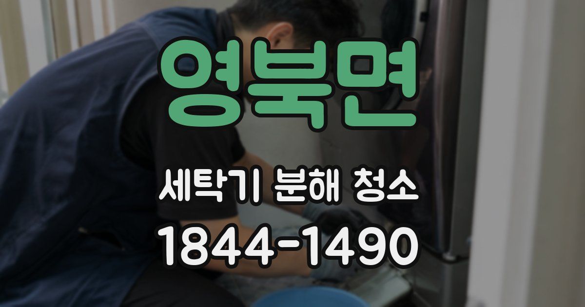 영북면 세탁기 분해 청소