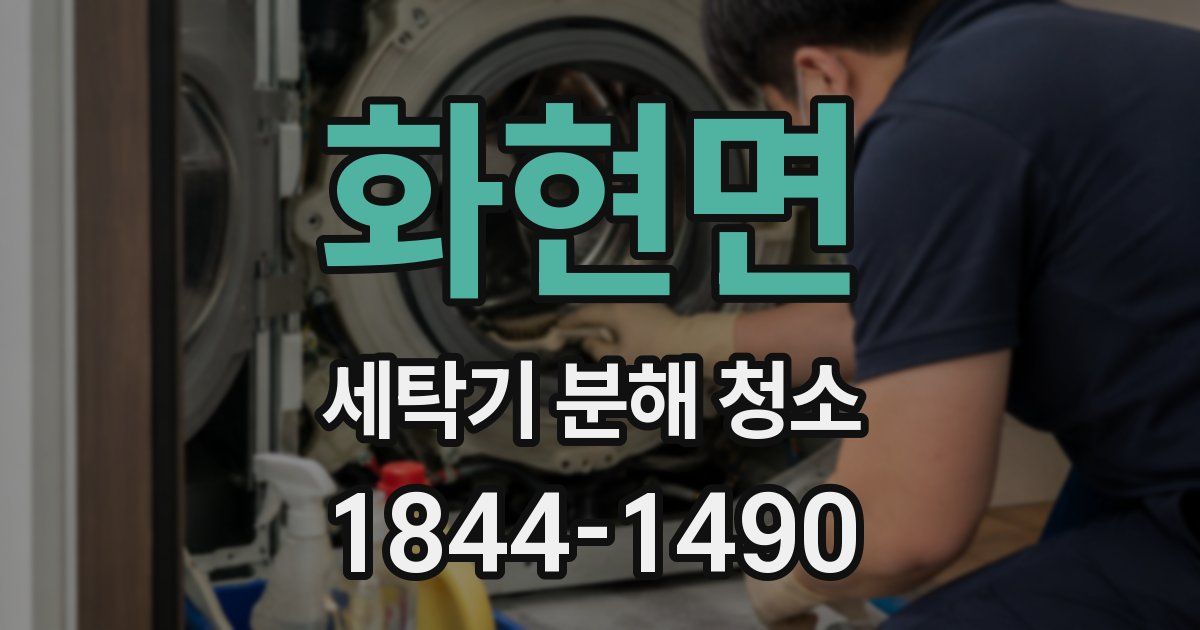 화현면 세탁기 분해 청소