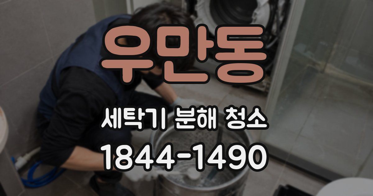 우만동 세탁기 분해 청소