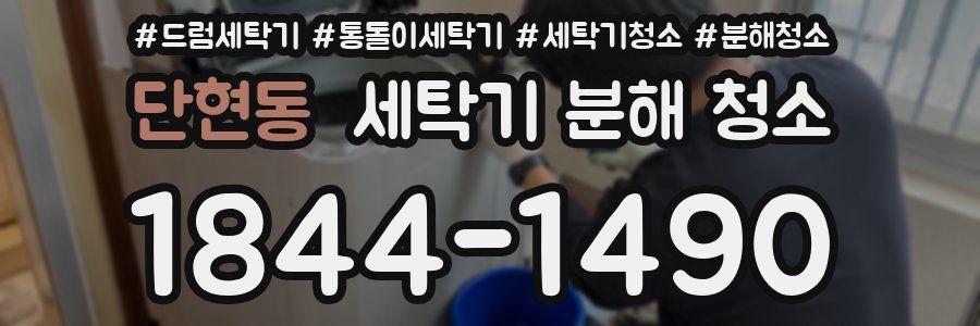 단현동 세탁기 분해 청소