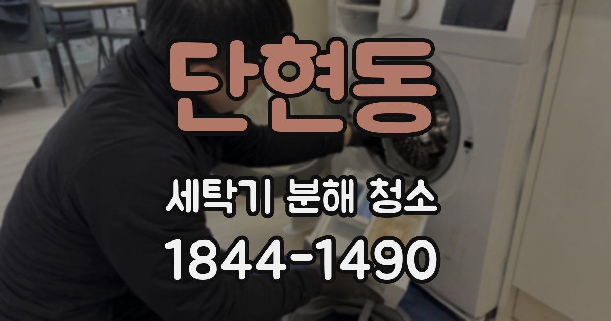 단현동 세탁기 분해 청소