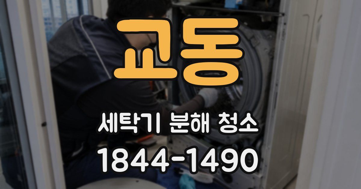 교동 세탁기 분해 청소