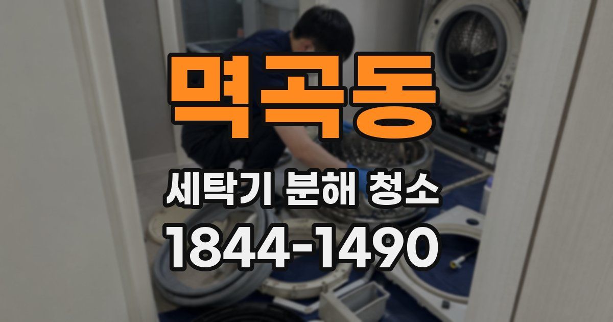 멱곡동 세탁기 분해 청소