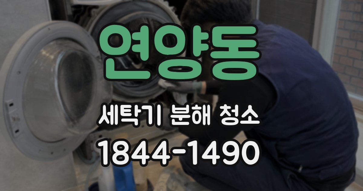 연양동 세탁기 분해 청소