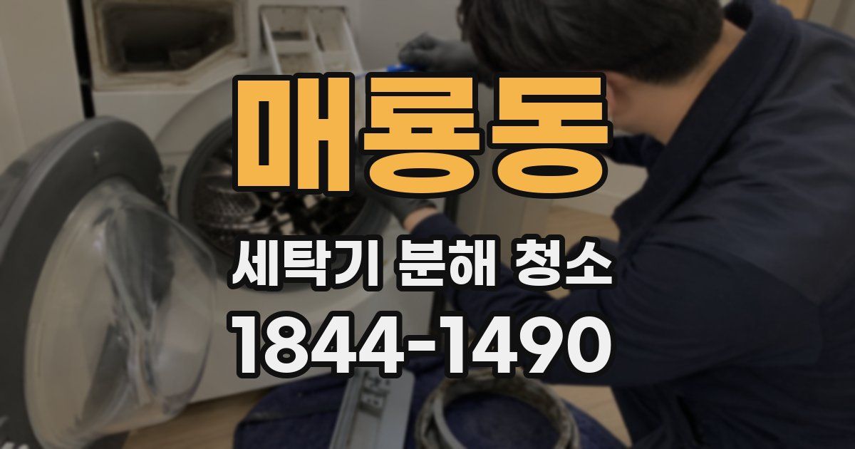 매룡동 세탁기 분해 청소