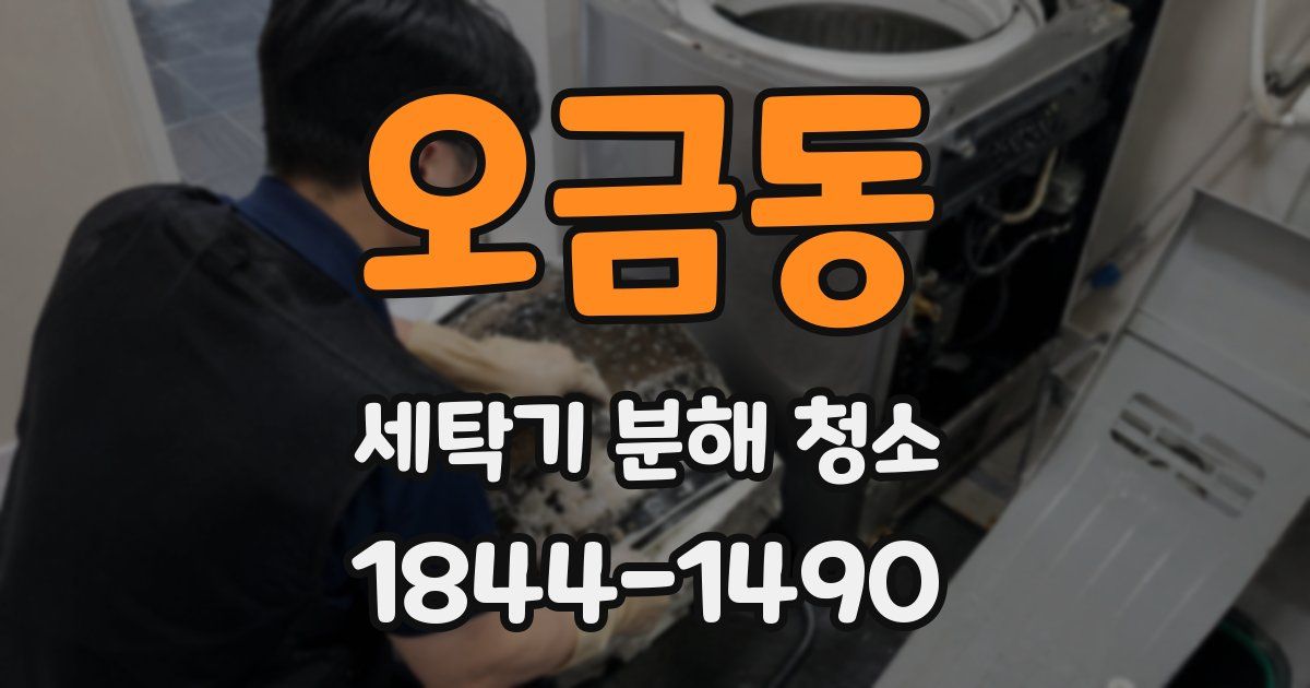 오금동 세탁기 분해 청소