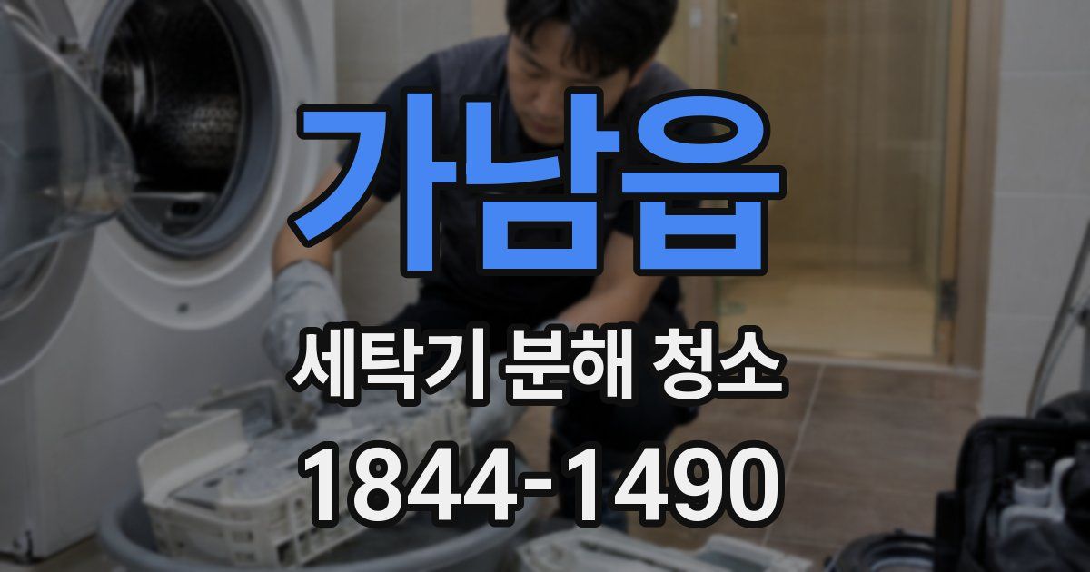 가남읍 세탁기 분해 청소