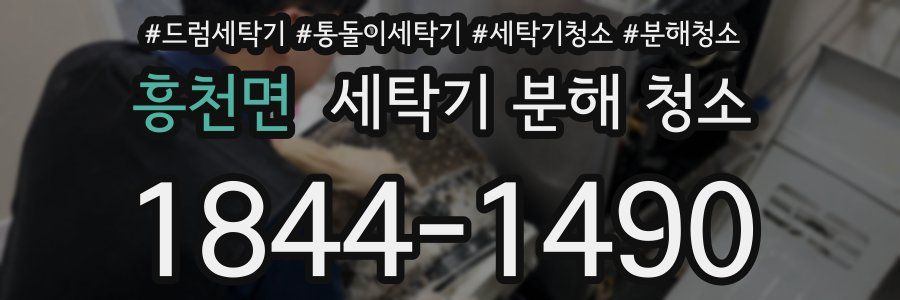 흥천면 세탁기 분해 청소