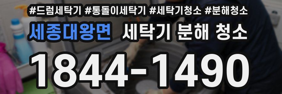 세종대왕면 세탁기 분해 청소