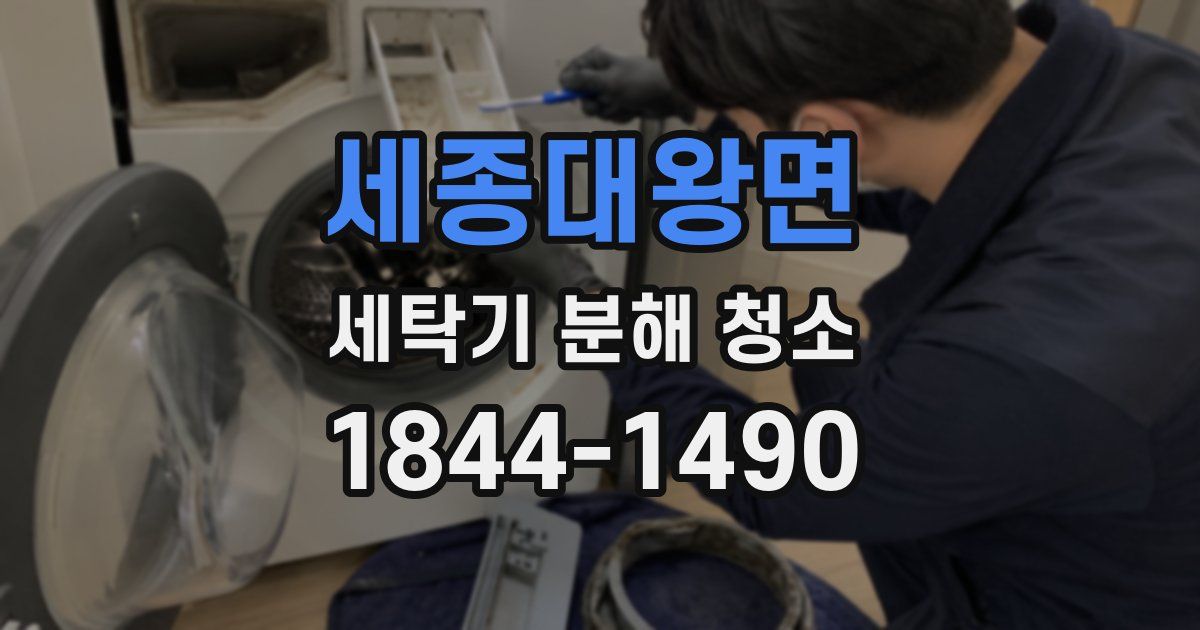 세종대왕면 세탁기 분해 청소