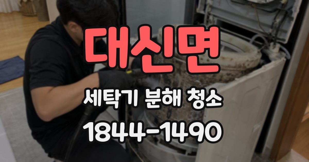 대신면 세탁기 분해 청소
