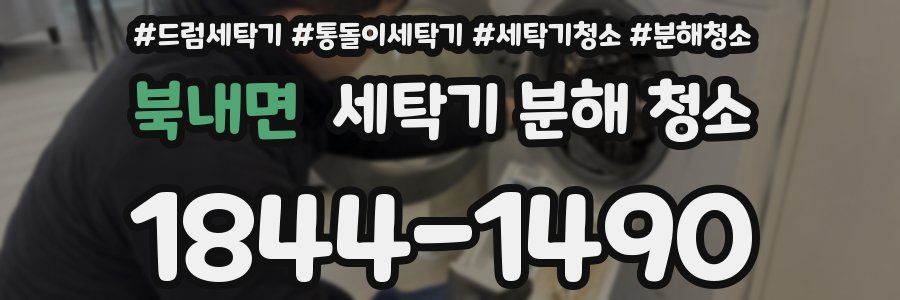 북내면 세탁기 분해 청소