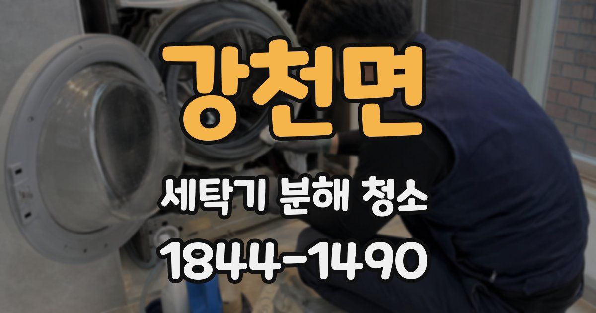 강천면 세탁기 분해 청소