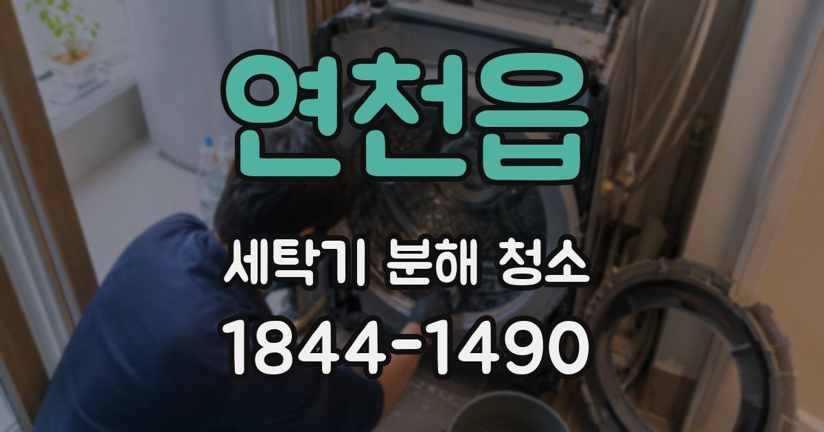 연천읍 세탁기 분해 청소