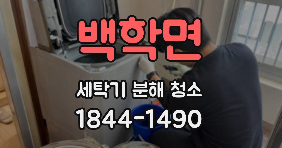 백학면 세탁기 분해 청소