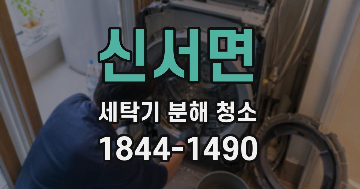 신서면 세탁기 분해 청소