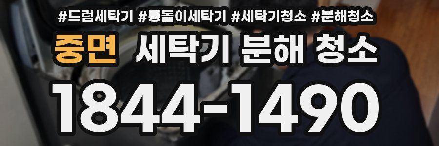 중면 세탁기 분해 청소