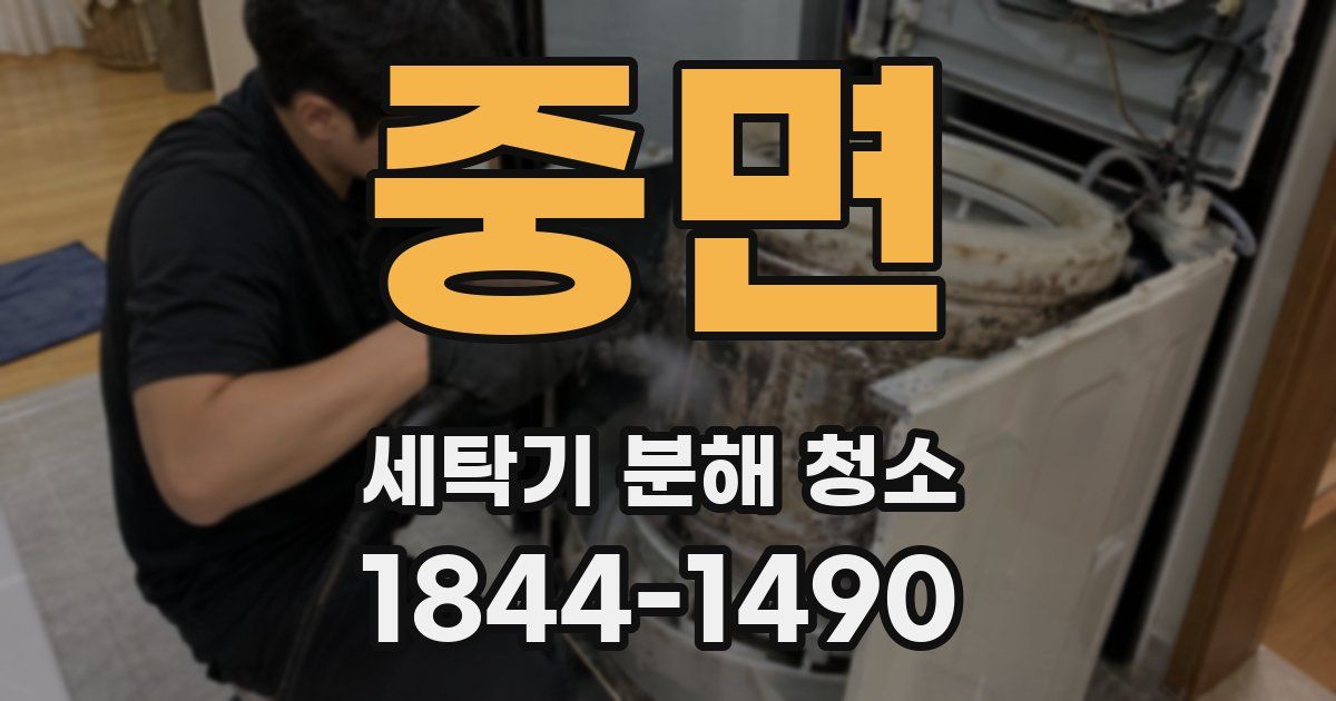 중면 세탁기 분해 청소
