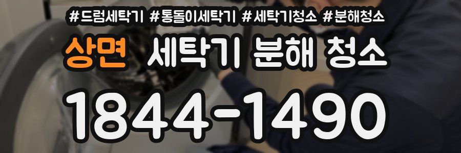 상면 세탁기 분해 청소