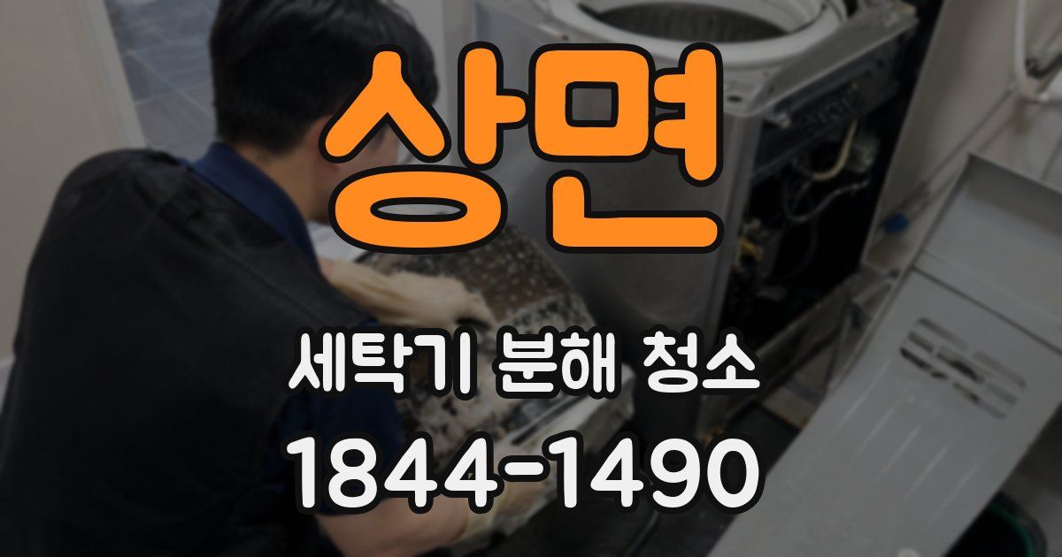 상면 세탁기 분해 청소