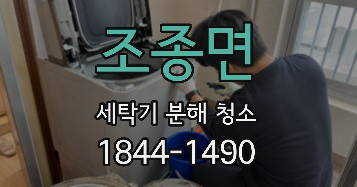 조종면 세탁기 분해 청소