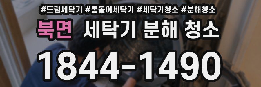북면 세탁기 분해 청소