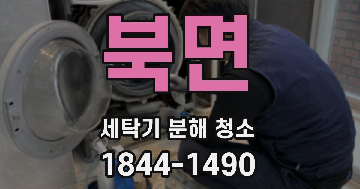 북면 세탁기 분해 청소