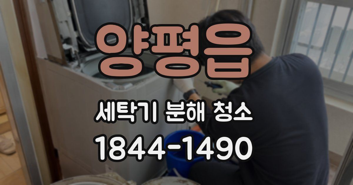 양평읍 세탁기 분해 청소