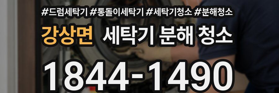강상면 세탁기 분해 청소