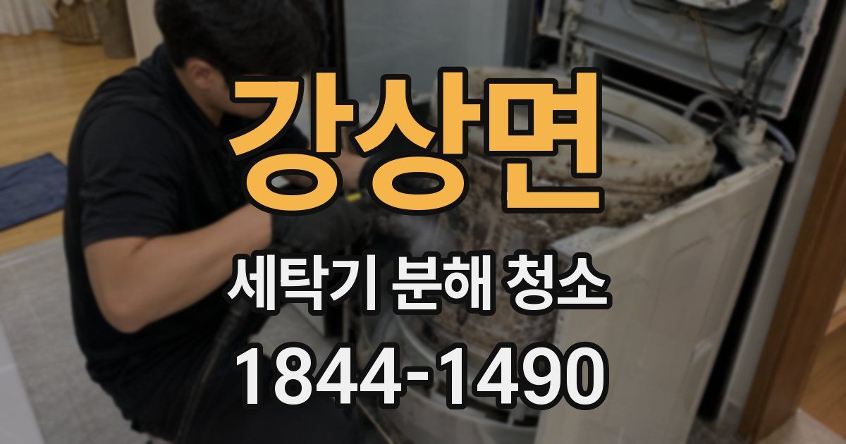 강상면 세탁기 분해 청소