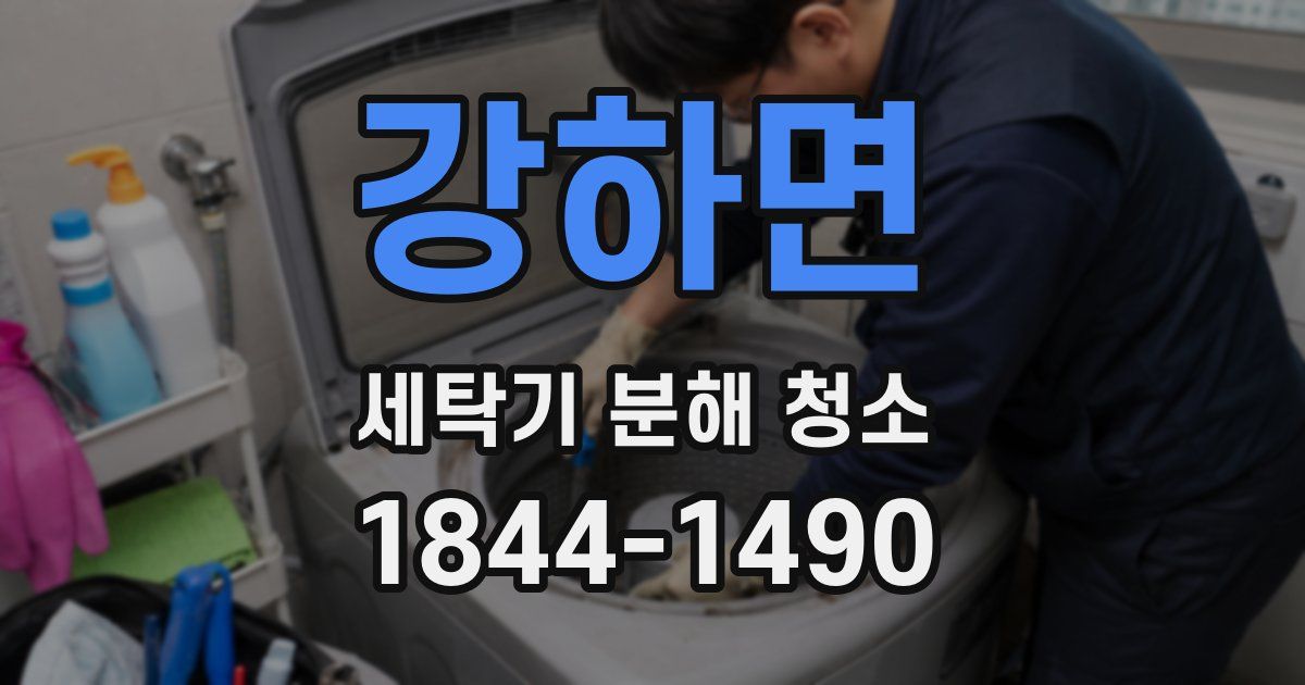 강하면 세탁기 분해 청소