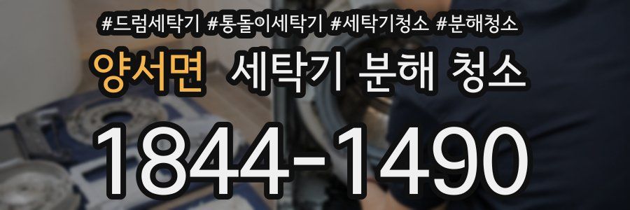 양서면 세탁기 분해 청소
