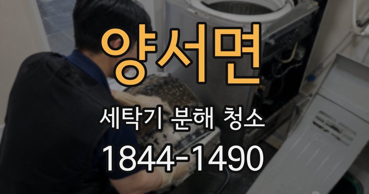 양서면 세탁기 분해 청소