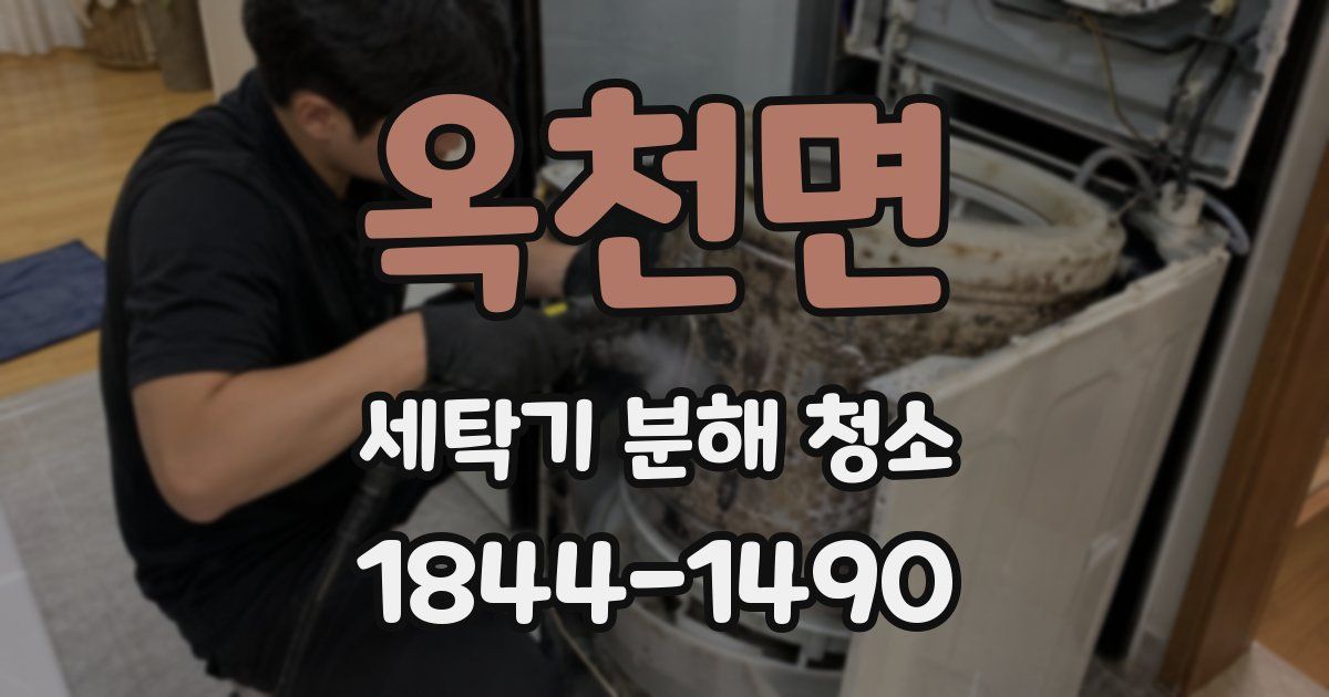 옥천면 세탁기 분해 청소