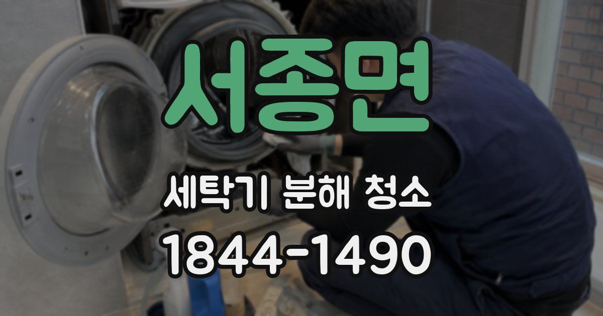 서종면 세탁기 분해 청소