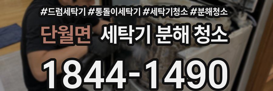 단월면 세탁기 분해 청소