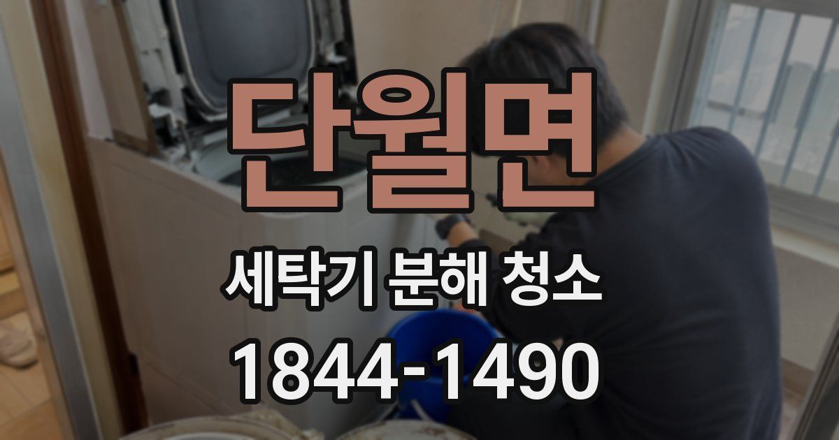 단월면 세탁기 분해 청소