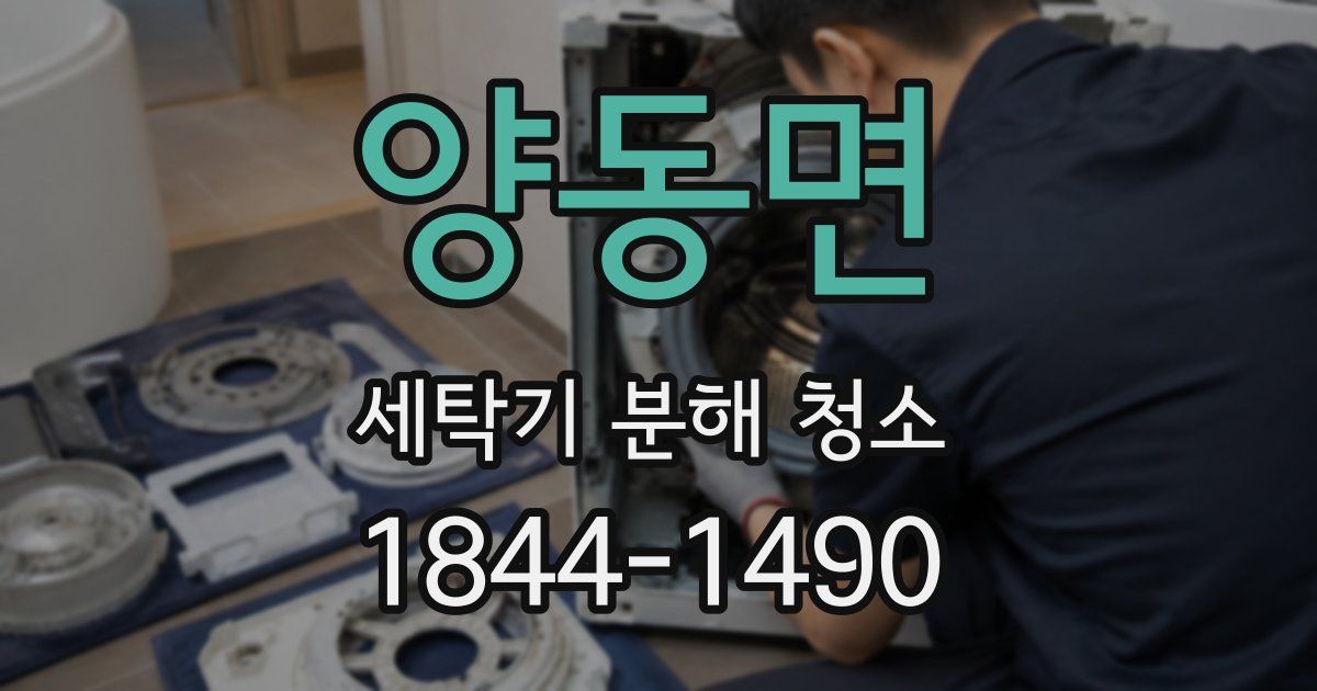 양동면 세탁기 분해 청소