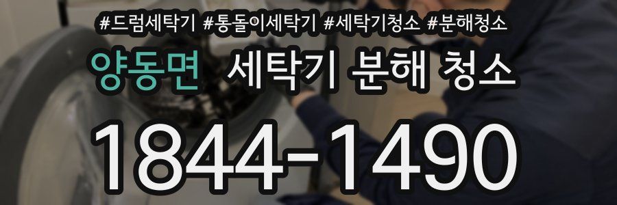 양동면 세탁기 분해 청소
