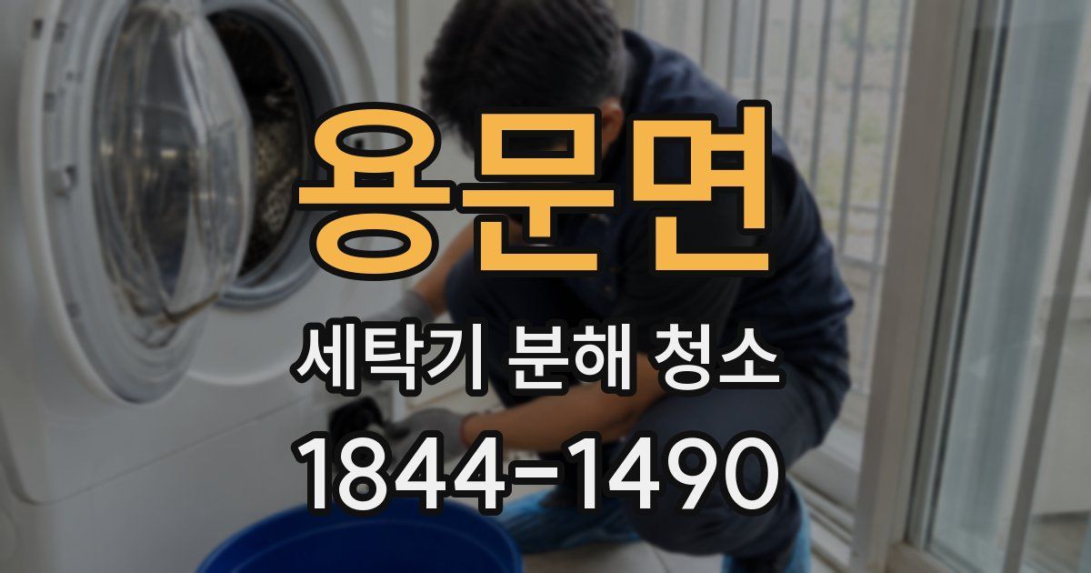용문면 세탁기 분해 청소