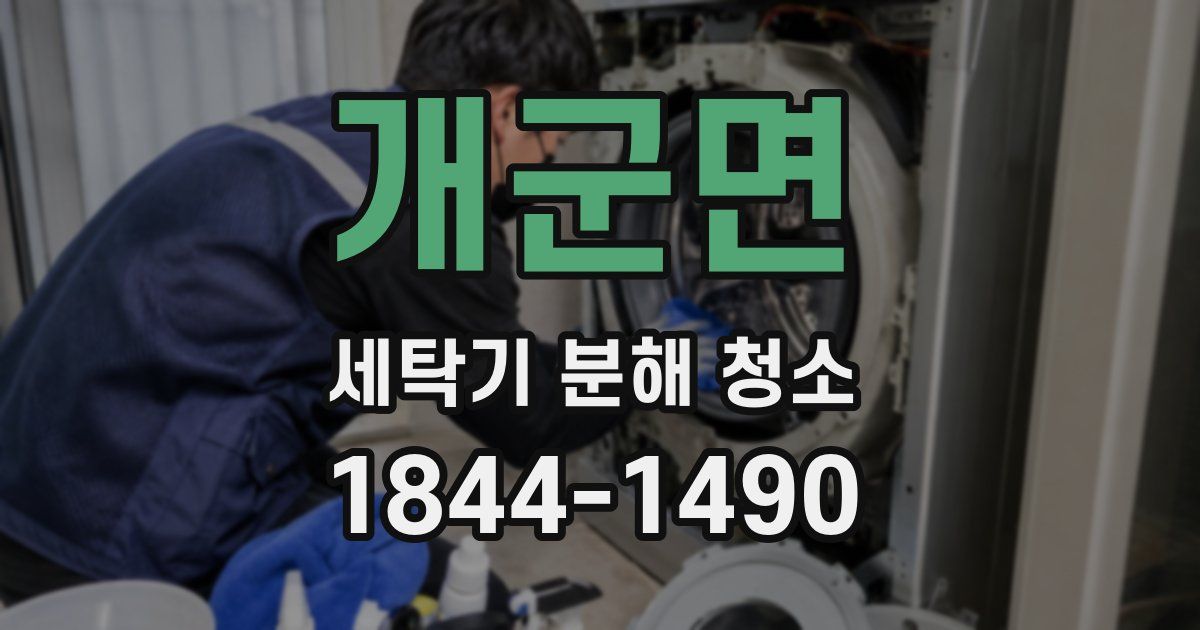 개군면 세탁기 분해 청소