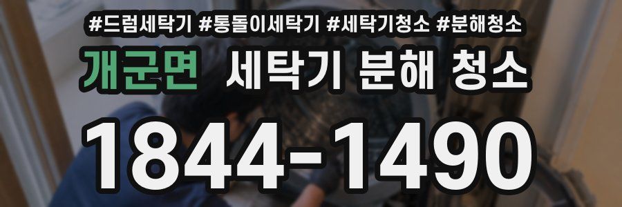 개군면 세탁기 분해 청소
